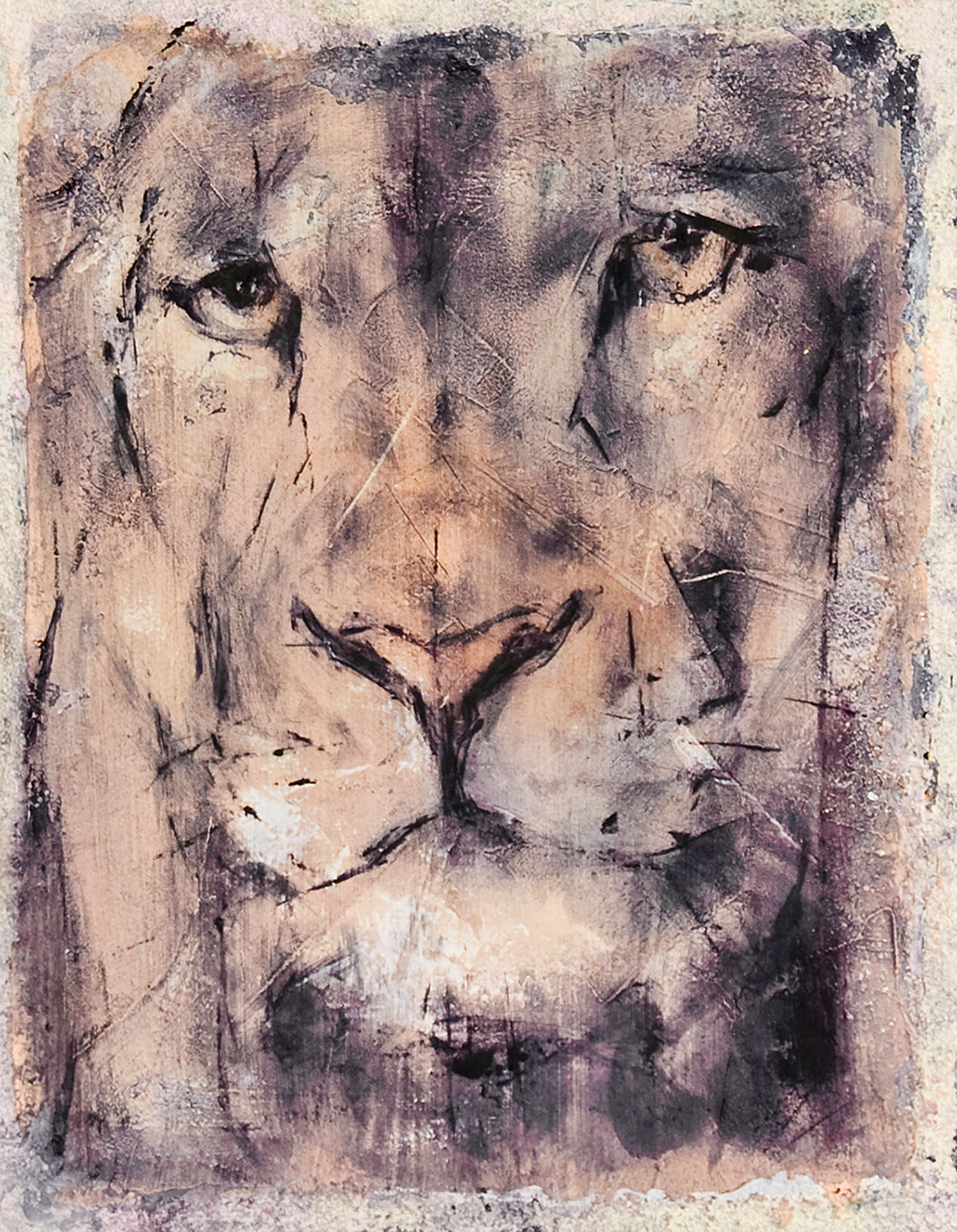 ENRICO – Opera o foto 1